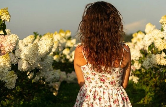 A woman among blooming hydrangeas